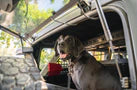 Load image into Gallery viewer, 2021-2024 Ford Bronco | Dog Barrier
