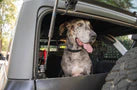 Load image into Gallery viewer, 2021-2024 Ford Bronco | Dog Barrier
