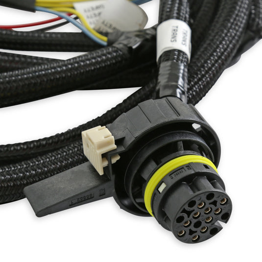 Holley EFI Terminator X Max - 24x Early Truck with 6L80 Control